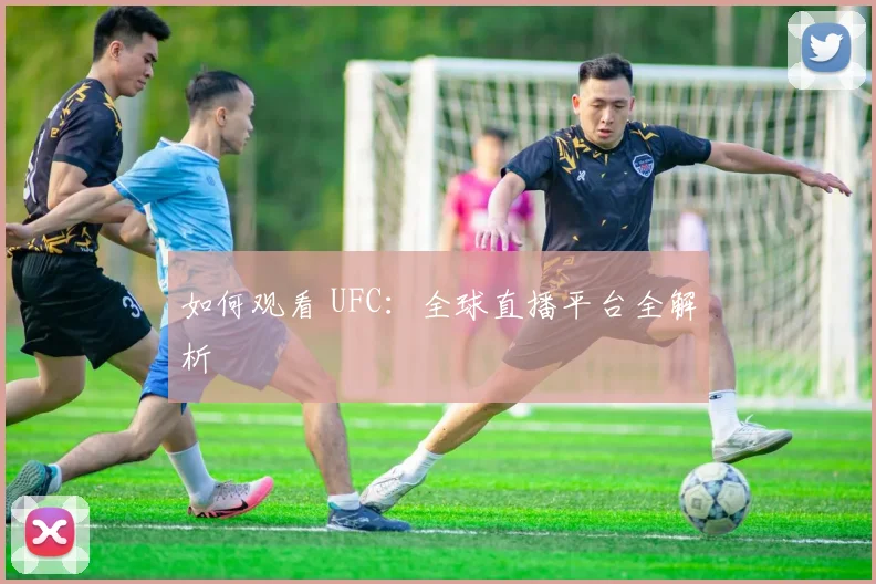 如何观看 UFC：全球直播平台全解析