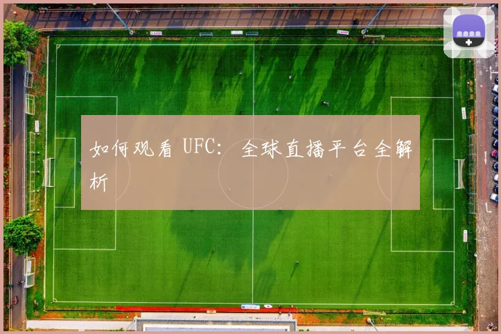 如何观看 UFC：全球直播平台全解析